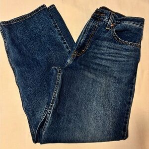 Aritzia Levi dad jeans baggy